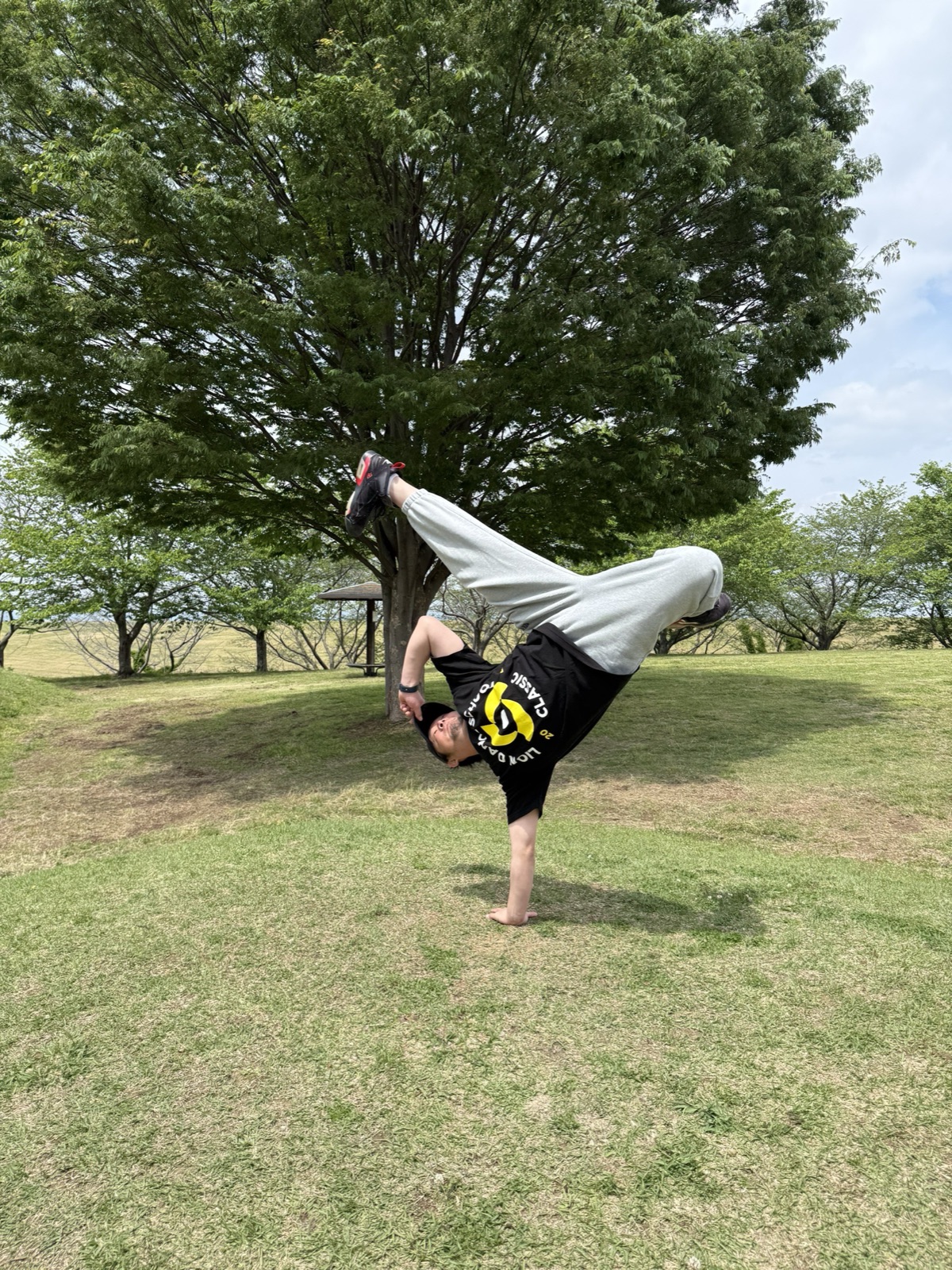 ライオン先生