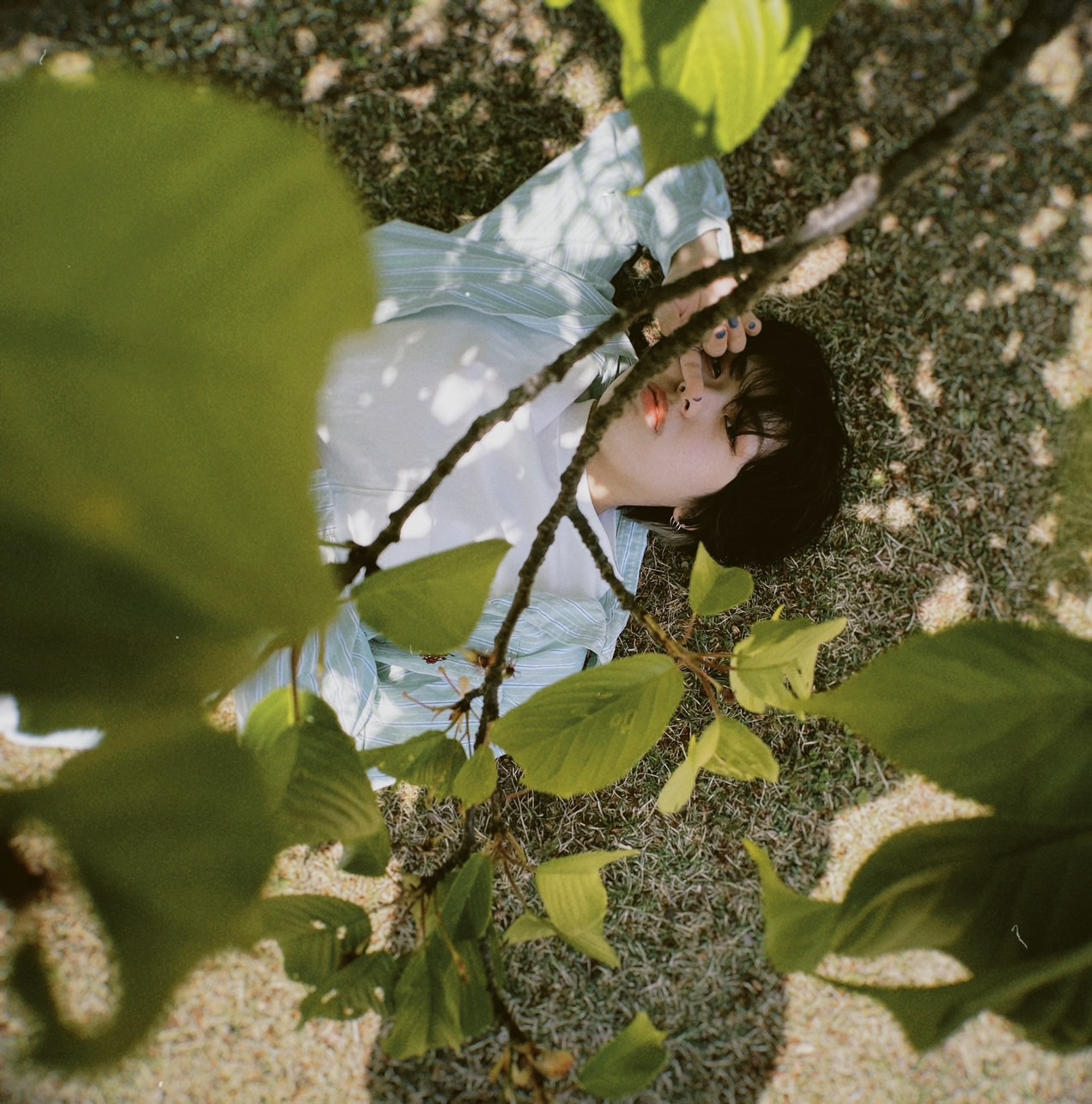 もみじ先生画像